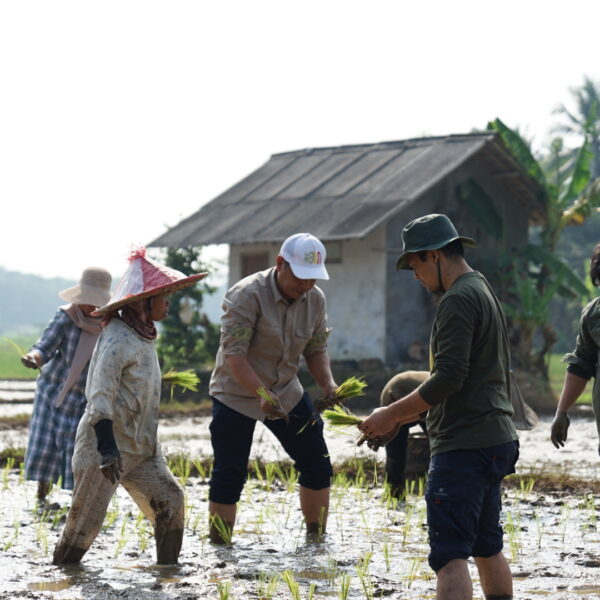 Kemarau Tetap Bisa Tanam, IP Naik, Petani Pun Senang